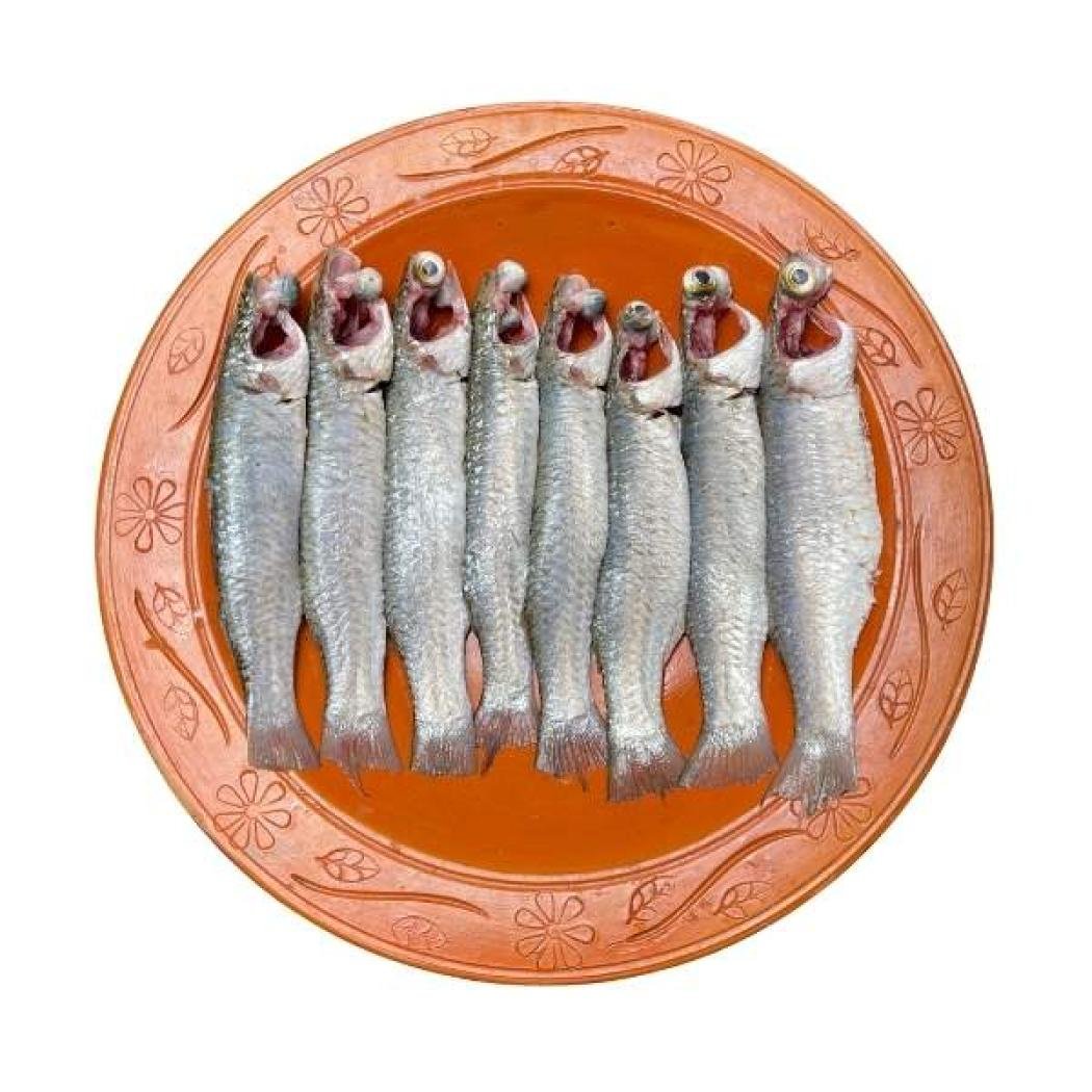 পারসে মাছ